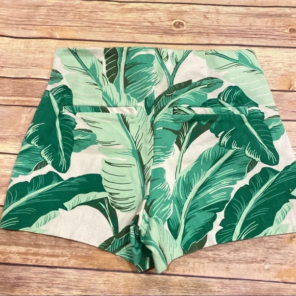 Palm Leaves Shorts - Picture 3 of 5